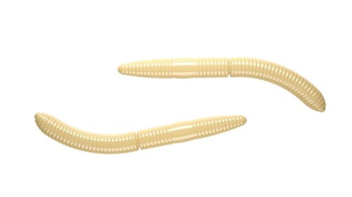 krokodyl1-618491