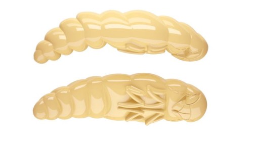 krokodyl1-618598