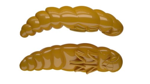 krokodyl1-618617