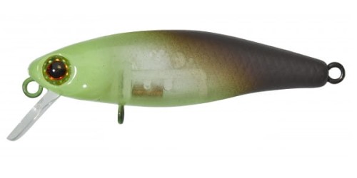 krokodyl1-618825
