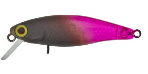 krokodyl1-618830