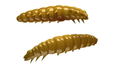 krokodyl1-619247