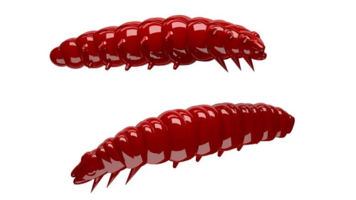 krokodyl1-619292