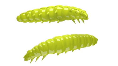 krokodyl1-619322
