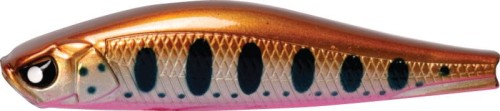 krokodyl1-619574