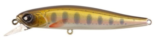 krokodyl1-619618