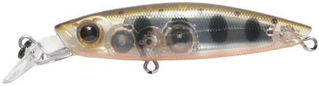 krokodyl1-619621