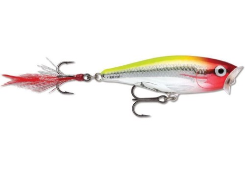 krokodyl1-620191
