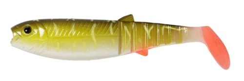krokodyl1-620501