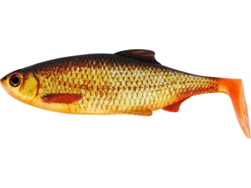 krokodyl1-622155
