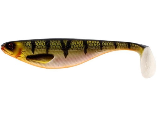 krokodyl1-622517