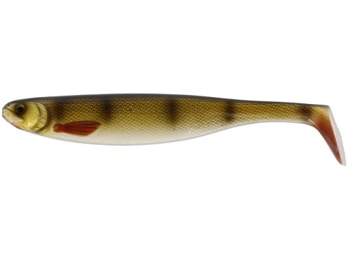 krokodyl1-622708