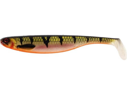 krokodyl1-622827
