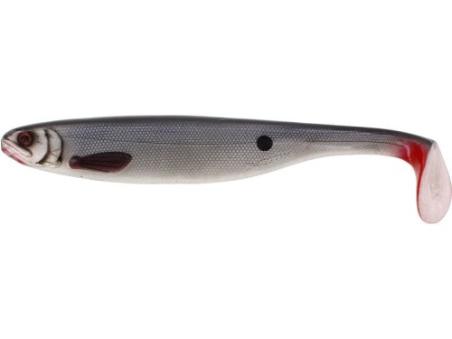 krokodyl1-622839