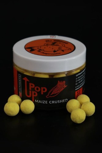 krokodyl1-623757