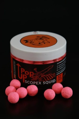 krokodyl1-623820
