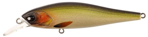 krokodyl1-649786