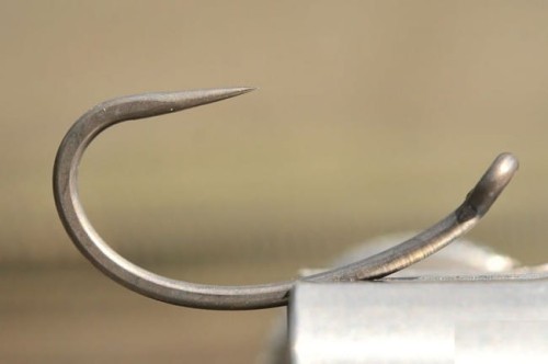 krokodyl2-578265