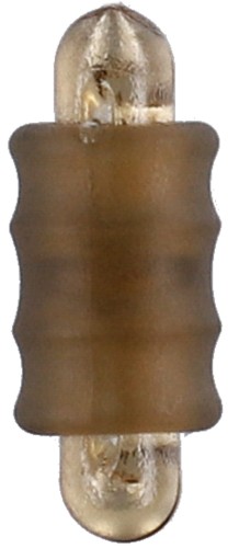 krokodyl2-581665