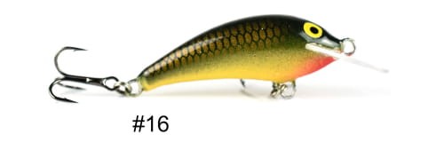 krokodyl2-597293