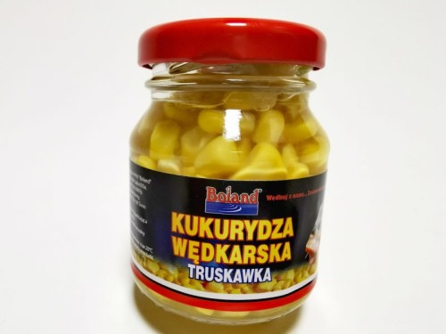 krokodyl2-619154