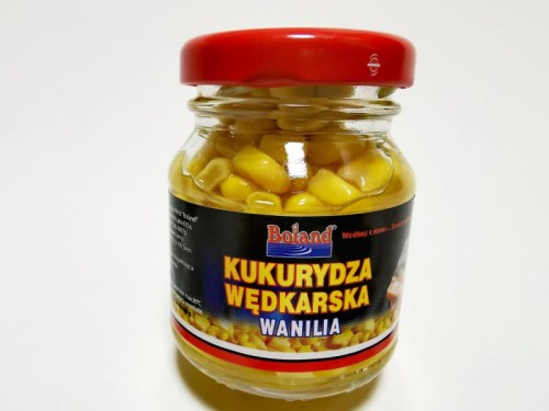 krokodyl2-619159