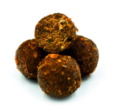 krokodyl3-582790