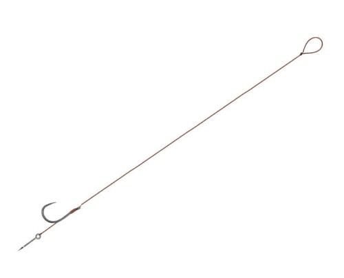 krokodyl3-585273