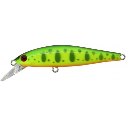 krokodyl3-598577