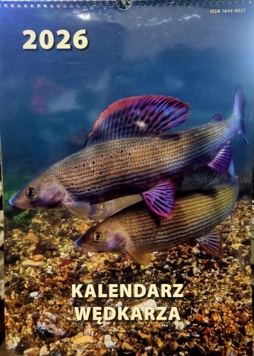 krokodyl3-603417