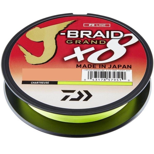 krokodyl3-613764