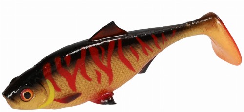 krokodyl3-614673