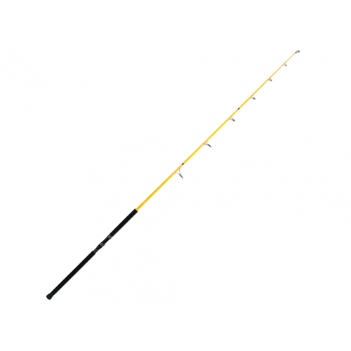 krokodyl3-616082