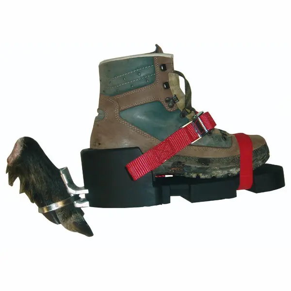 pecheur-store1-708217
