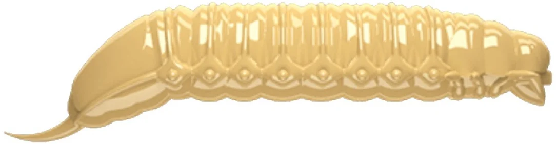 sklepwedkarski1-521691