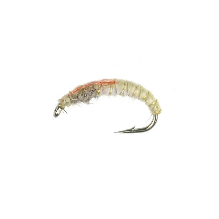 taimen-750676